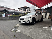 XV