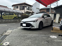 �J���[���X�|�[�c