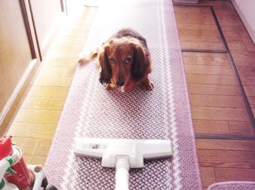 レカロオートモーティブ報道